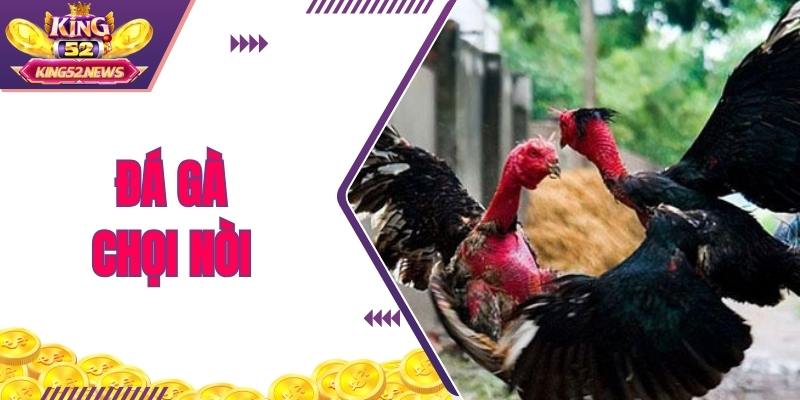 Đá Gà Chọi Nòi - Tìm Hiểu Về Dòng Kê Sát Phạt Đỉnh Cao