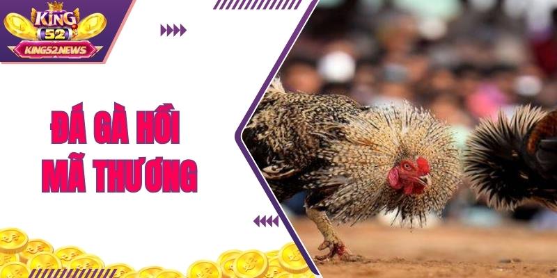 Đá Gà Hồi Mã Thương King52 - Màn Lật Kèo Siêu Kịch Tính