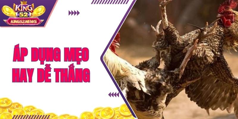 Đừng bỏ lỡ chuỗi thắng với mẹo cược cực hay từ cao thủ