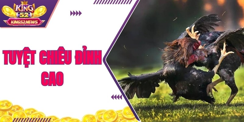 Tìm hiểu tuyệt chiêu đỉnh cao thế đá gà xạ với King52