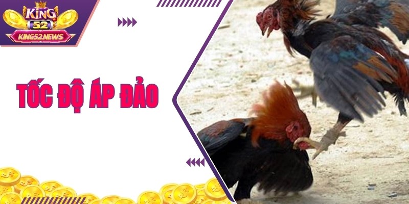 Tốc độ áp đảo và chính xác khiến đối thủ nốc ao lập tức